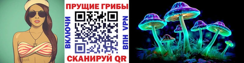 Псилоцибиновые грибы Psilocybe  Суджа 