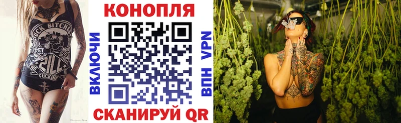 Бошки Шишки OG Kush  OMG   Суджа 